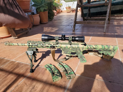 M&P 15-22 rifle semiautomática 22 LR