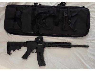 Smith & Wesson 15-22