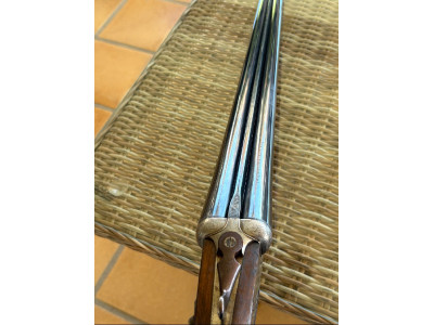 Paralela Arrieta 557