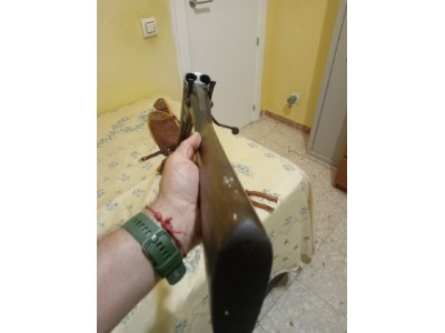 Paralela de perrillos muy antigua
