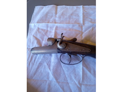 Paralela del 28 de perrillos