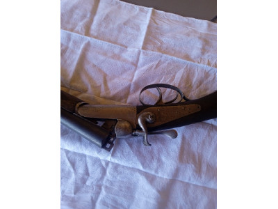 Paralela del 28 de perrillos