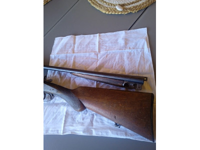 Paralela del 28 de perrillos