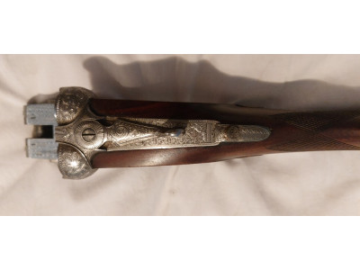 Paralela EGO Gama Alta "Apertura Automática"