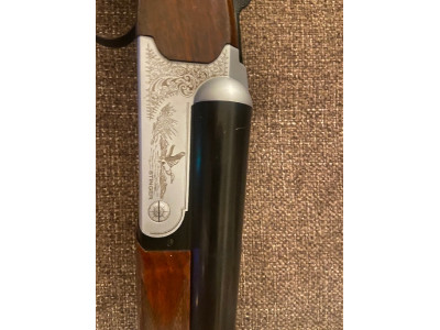 Paralela marca stinger