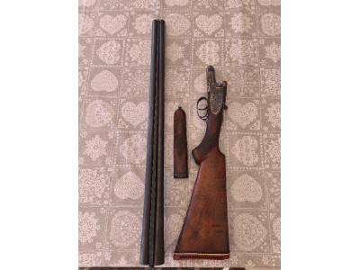 Paralela Setter Cal 12