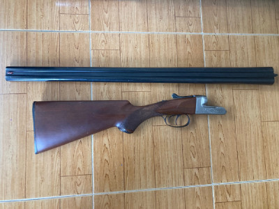 Paralela Victor Sarasqueta Jabalí