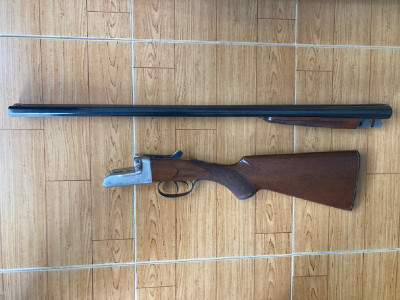 Victor Sarasqueta Jabalí