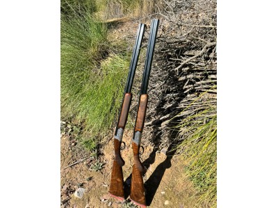 PAREJA DE SUPERPUESTAS CAL. 20 RIZZINI