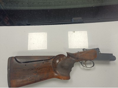 Perazzi MX1 con Brileys