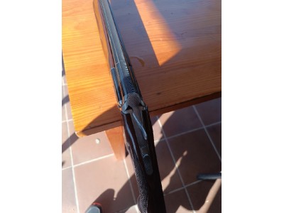 Perazzi MX8, Blanca Pulida