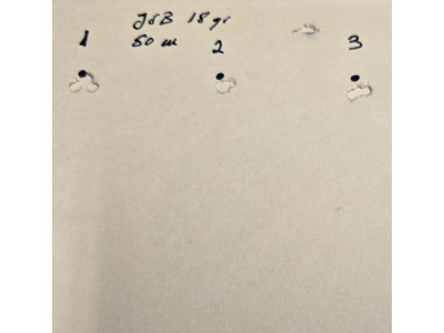 RAW HM1000x laminada verde Camo calibre 5,5