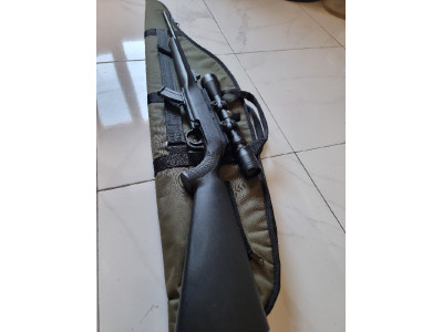 Remington 22 Lr viper