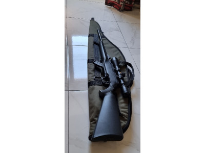 Remington 22 Lr viper