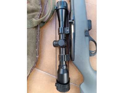 Remington 597 con visor