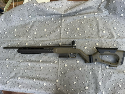 Remington 700. 308w.
