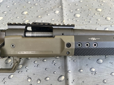 Remington 700. 308w.