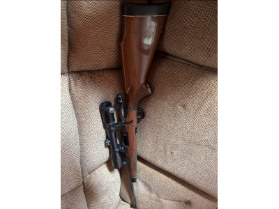 Remington 700 300 wm