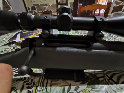 Remington 710.-7mmrm