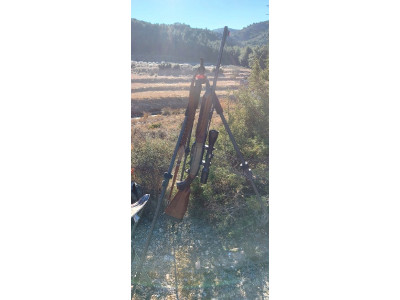 Remington 750 Woodsmaster 30-06