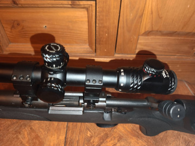 Remington calibre 308 Zurdos