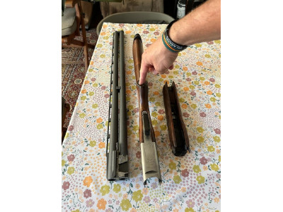 Escopeta Remington 3200