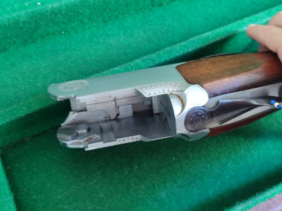 Renato Gamba Montreal