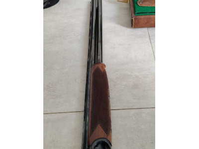 Renato Gamba Montreal