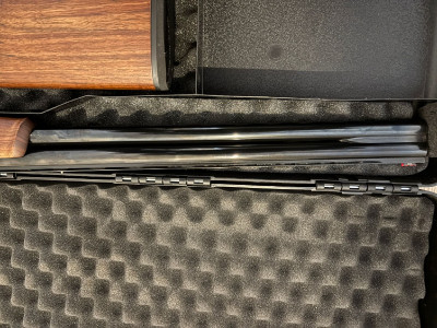 RENATO GAMBA TRAP PLATO