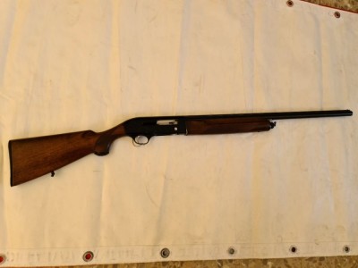 Beretta A301