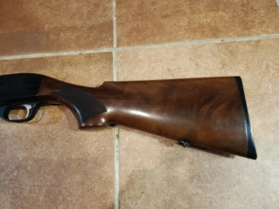 Repetidora benelli montefeltro