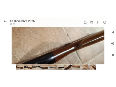 Repetidora benelli montefeltro