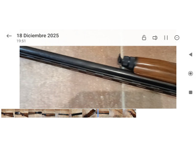 Repetidora benelli montefeltro