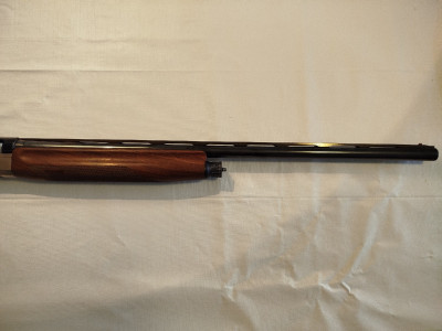 Repetidora Benellli raffaello