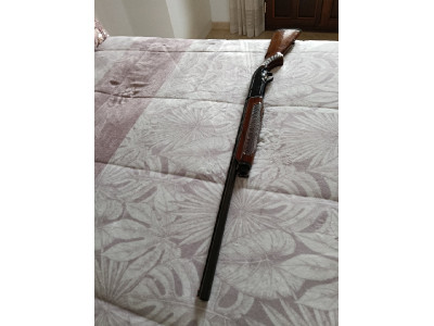 Repetidora Beretta A303