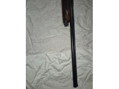 Repetidora Lamber cal.12