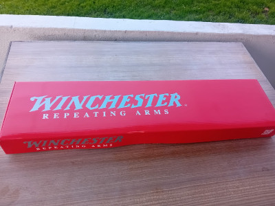 Repetidora Winchester sx4