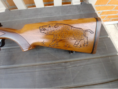 Rifle 30 06, sabati Rover