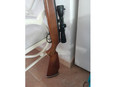 Rifle aire comprimido