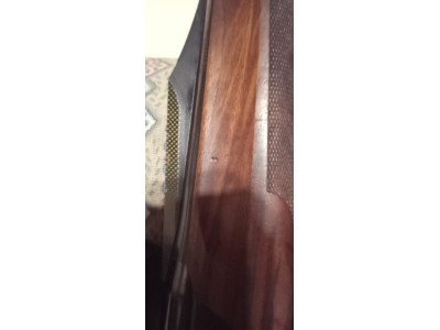 Benelli Argo 300