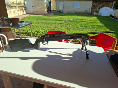 Rifle Bergara B14 Custom