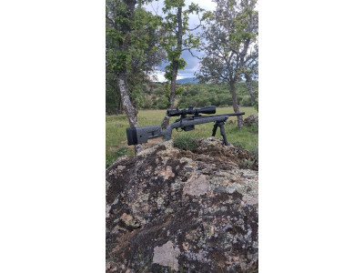 Rifle bergara B14 trainer acero