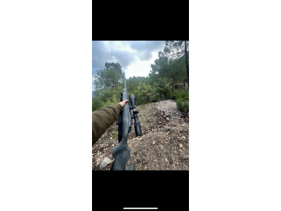 Rifle Bergara Wilderness Terrain en c/300 con visor vector
