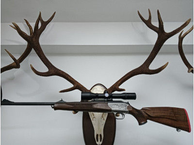 Rifle blaser r93 luxus españa