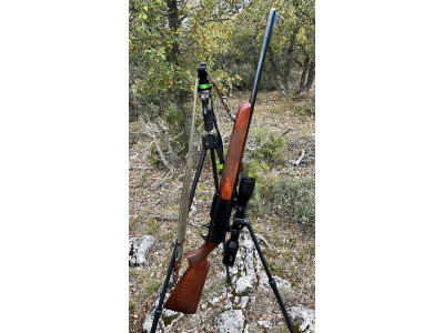 Rifle Browning Bar 2