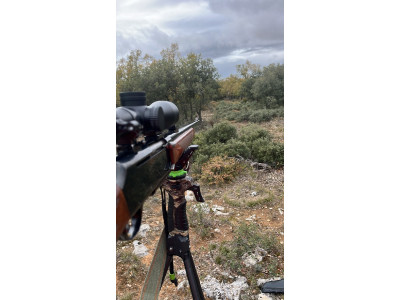 Rifle Browning Bar 2