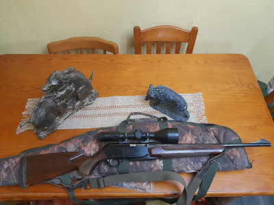 Rifle browning long track 300