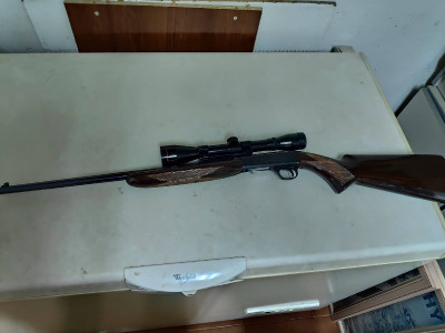 Rifle calibre 22 con visor