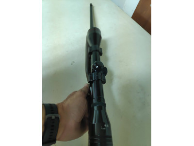 Rifle calibre 22 con visor