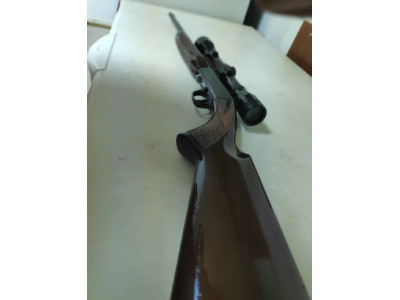 Rifle calibre 22 con visor